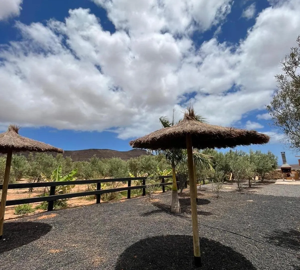 Apartment El Olivar Experiences - Adults Recommended Puerto del Rosario
